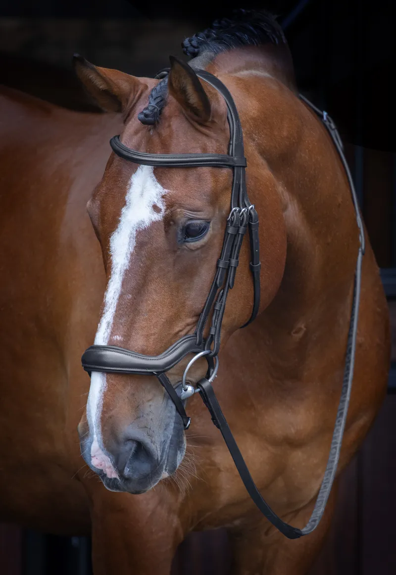 Shires Velociti RAPIDA Ergonomic Flash Bridle - Black